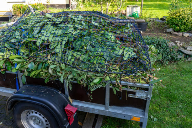 Best Carpet Removal and Disposal  in Hurstbourne, KY